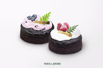 TousLesJours_PlantasticCakes.jpg